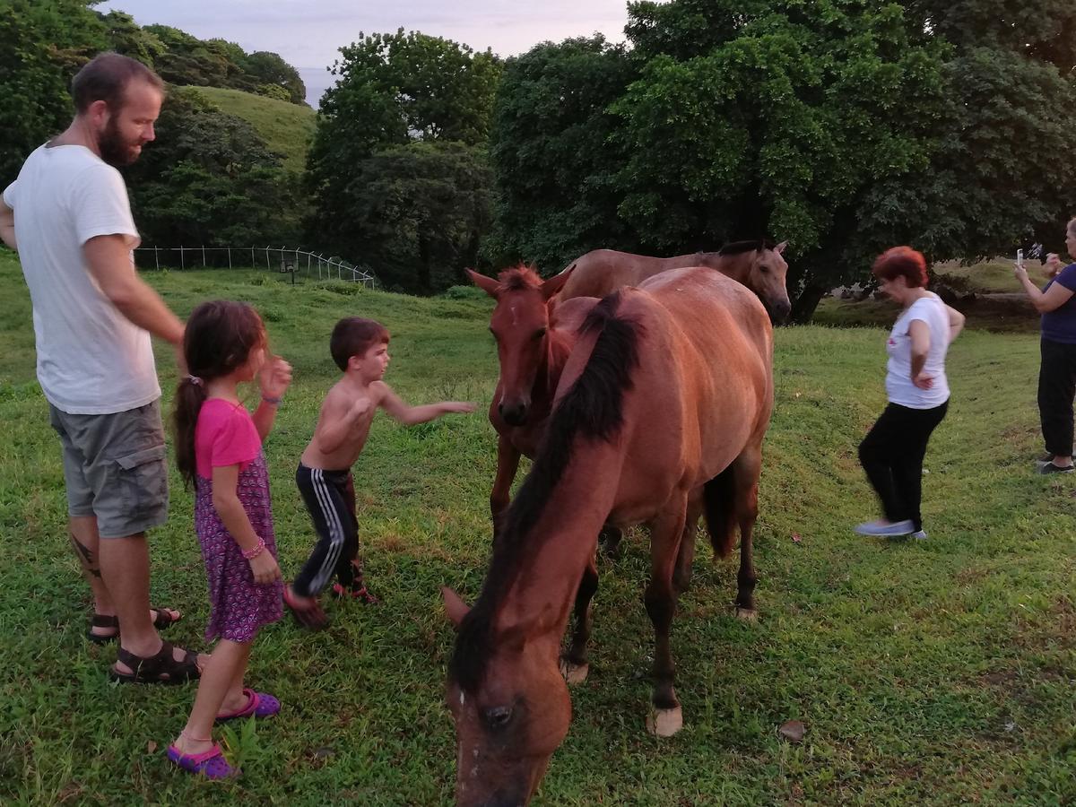 Hotel Rancho Juancho Portobelo Zewnętrze zdjęcie