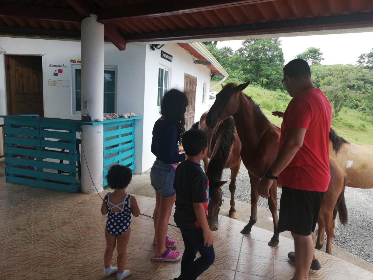 Hotel Rancho Juancho Portobelo Zewnętrze zdjęcie
